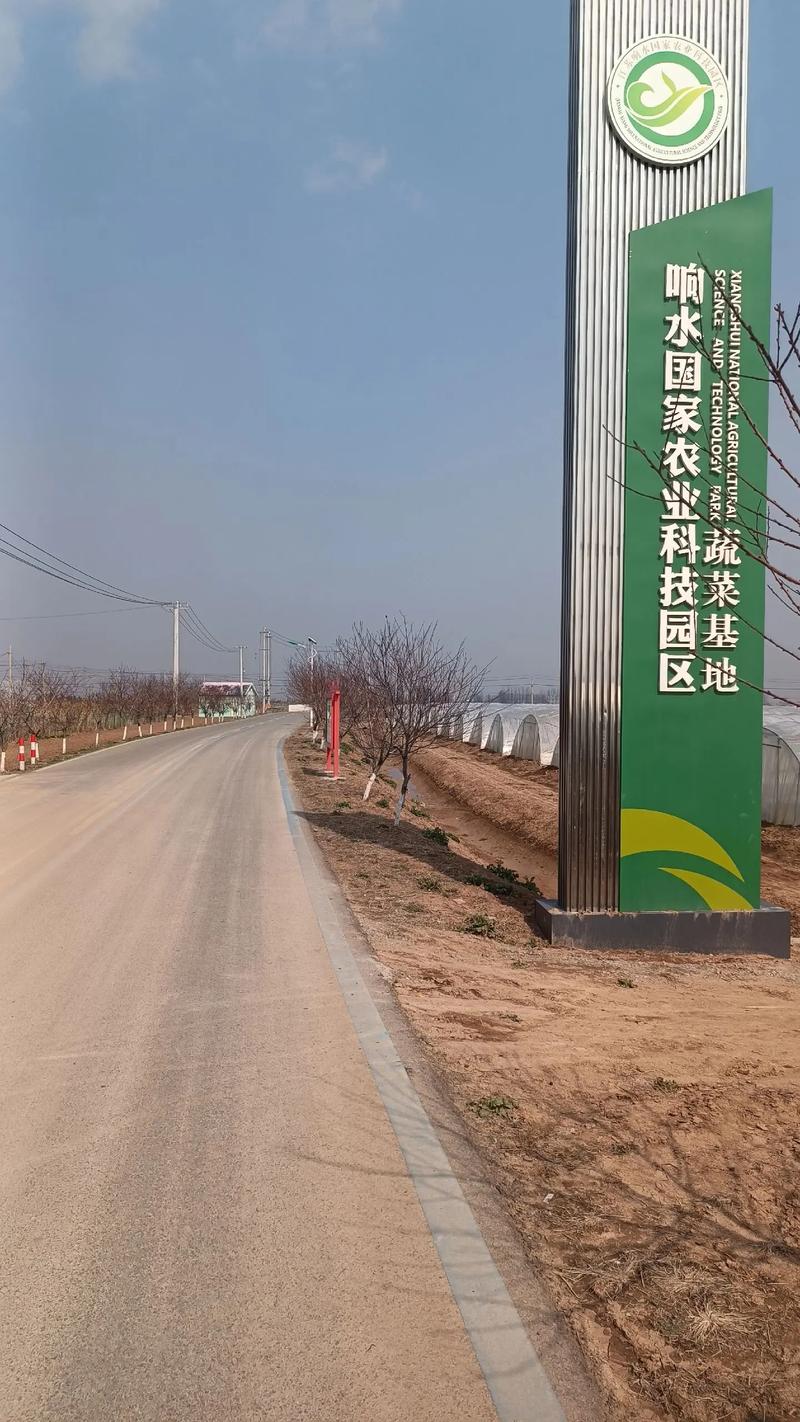 响水现代医院:引领卫生健康新篇章